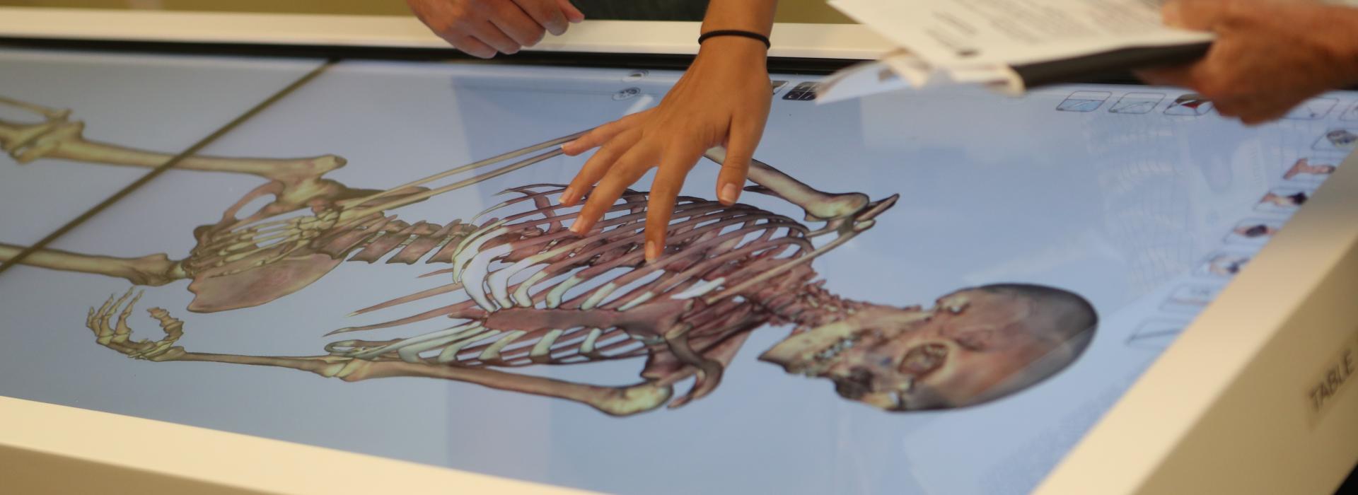 PA students use the Anatomage Table 